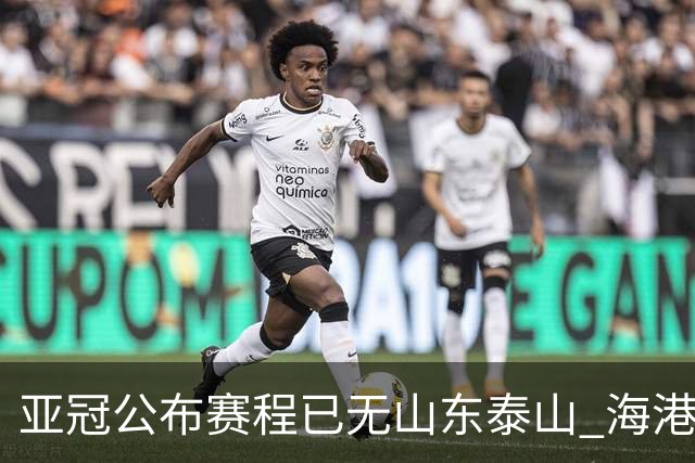 亚冠公布赛程已无山东泰山 海港若递补将赴泰国